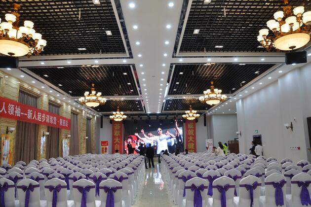 SE德国美高M-F3A入驻西安高端酒店多功能厅