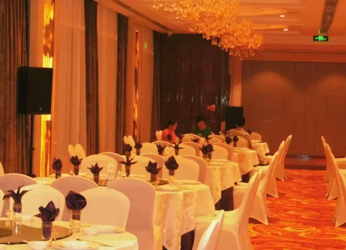 阜阳白金汉宫大酒店